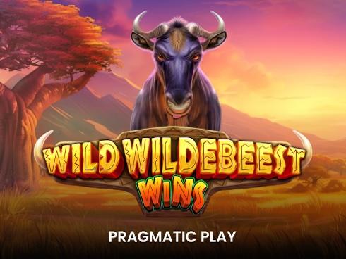 wildwildebeestwins_Horizontal.jpg